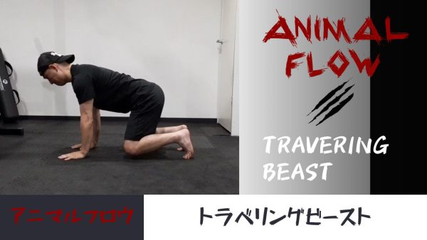 【Vol.18】アニマルフロウ　トラベリングビースト