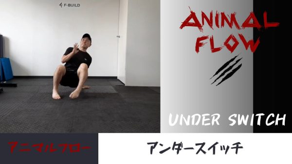 【Vol.20】アニマルフロー　アンダースイッチ