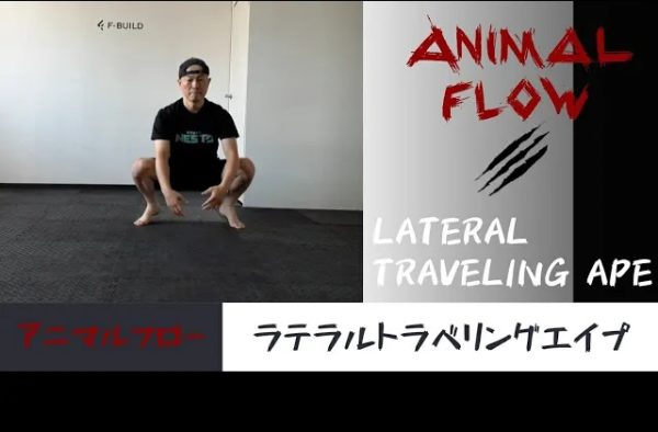 【Vol.19】アニマルフロー　ラテラルトラベリングエイプ